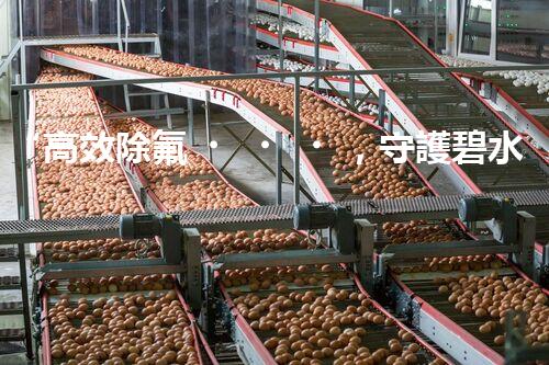 “高效除氟，守護碧水藍天——廢水中氟離子處理新篇章”